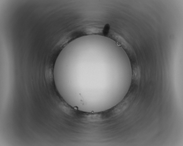 X0000112020426200908101406