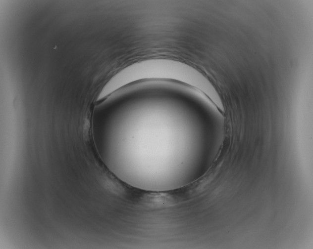 X0000112020427200908101406