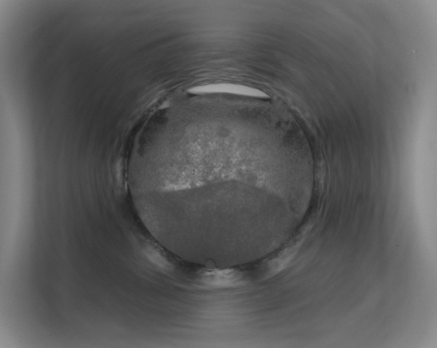 X0000112020428200908101406