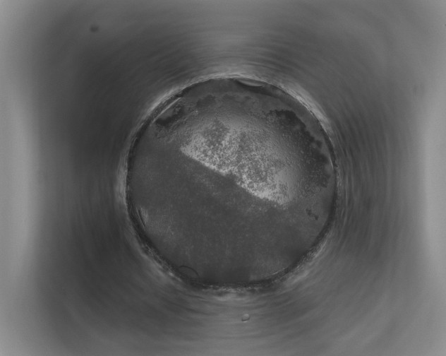 X0000112020434200908101405