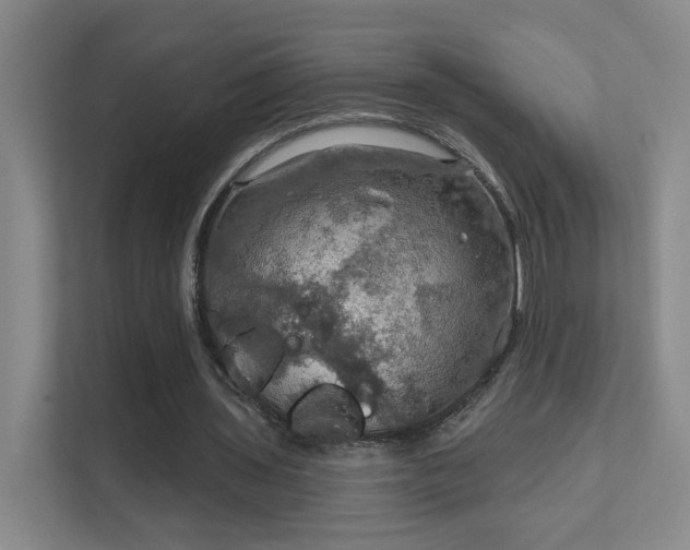 X0000112020435200908101405