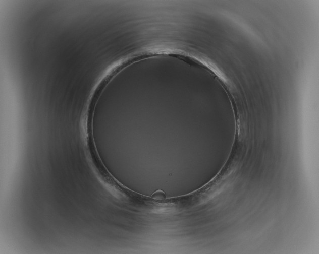 X0000112020438200908101405