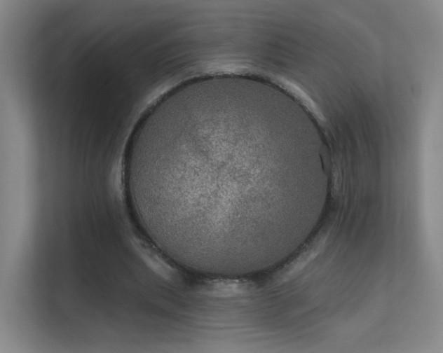 X0000112020439200908101405