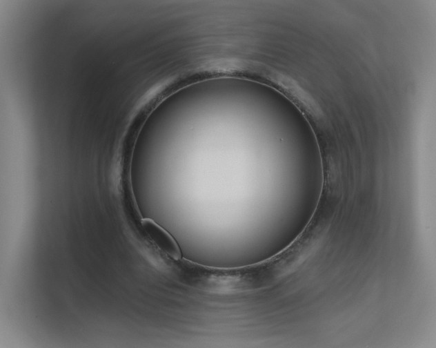 X0000112020440200908101405