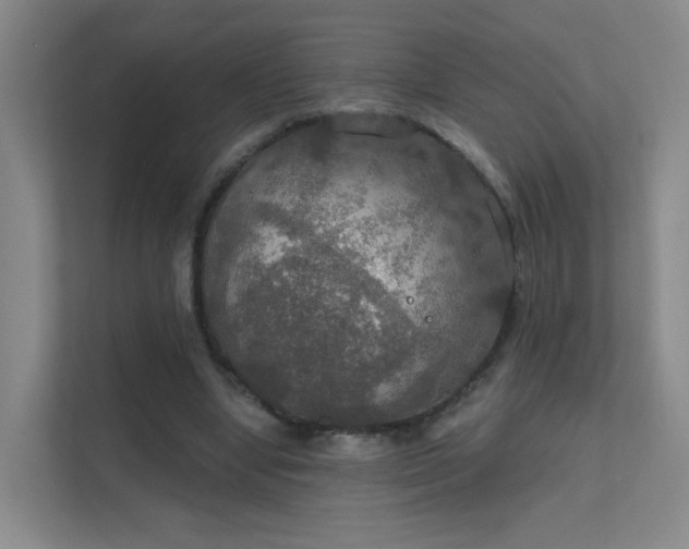 X0000112020442200908101405