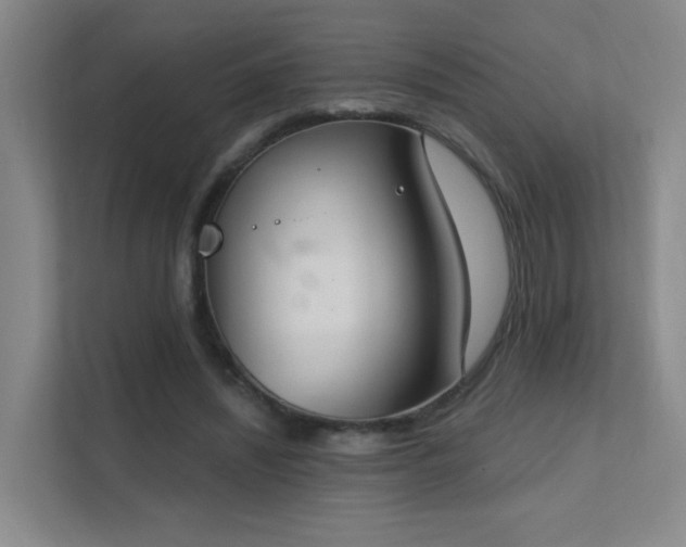 X0000112020444200908101405