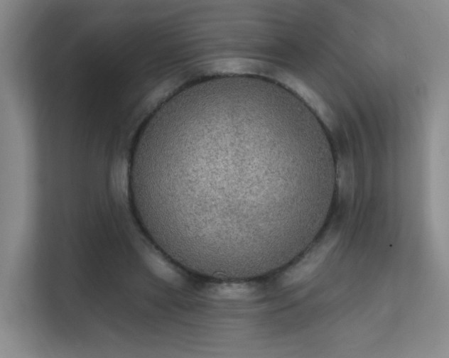 X0000112020445200908101405