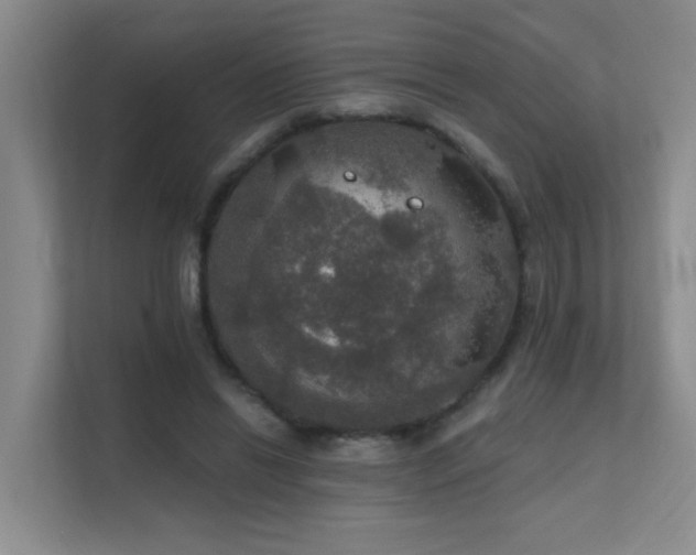 X0000112020446200908101406