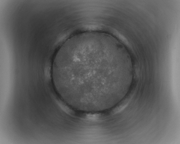 X0000112020450200908101406