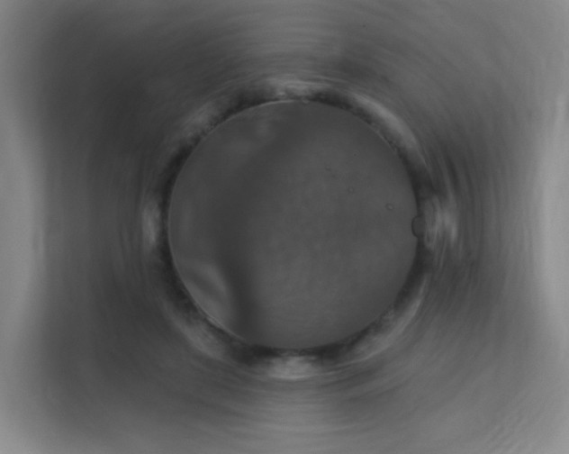 X0000112020451200908101406