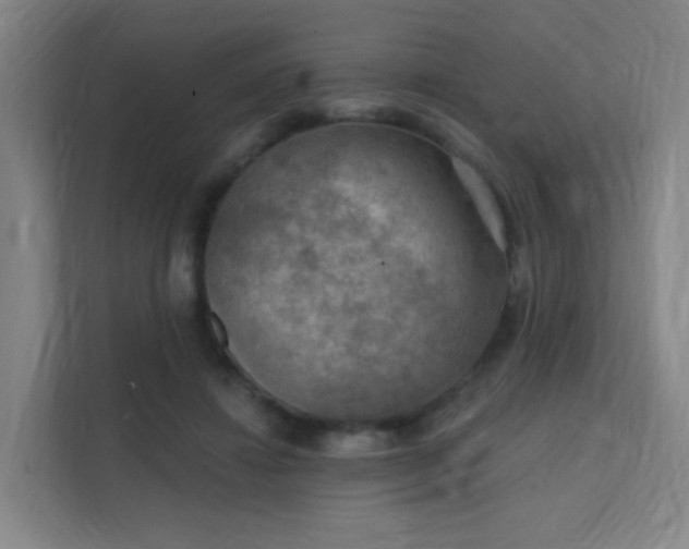 X0000112020452200908101406