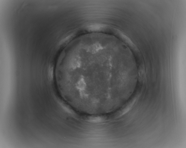 X0000112020454200908101406