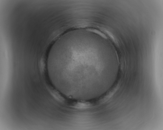 X0000112020455200908101406