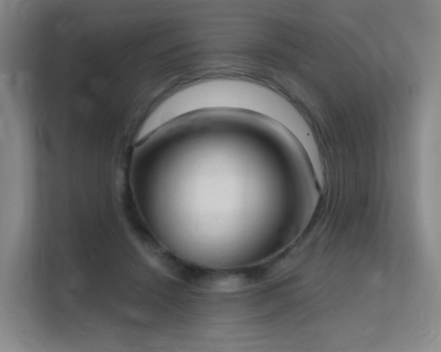 X0000112020456200908101406