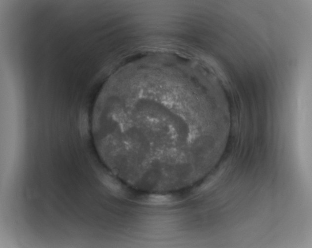 X0000112020457200908101406