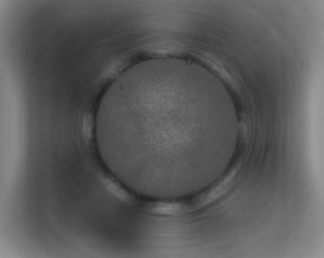 X0000112020458200908101406