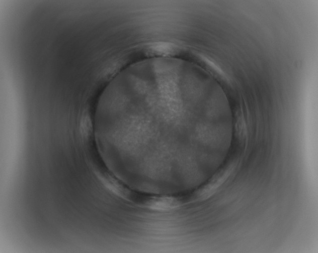 X0000112020459200908101406