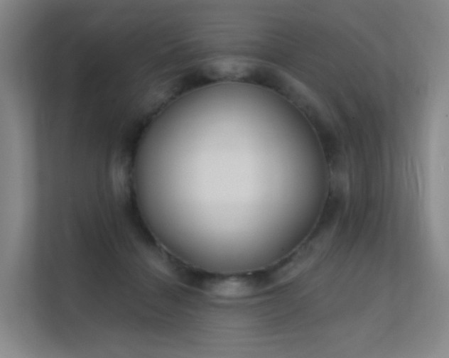 X0000112020460200908101406