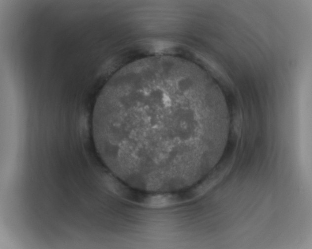 X0000112020461200908101406