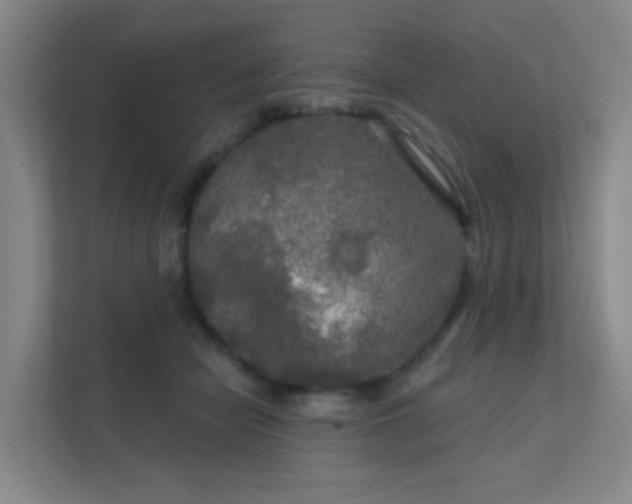 X0000112020462200908101406