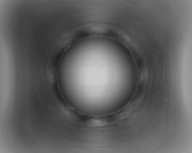 X0000112020464200908101406