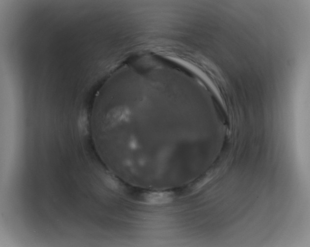 X0000112020465200908101406