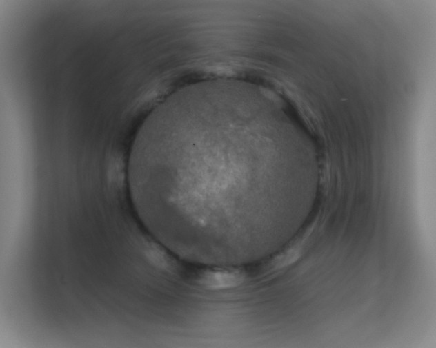 X0000112020466200908101406