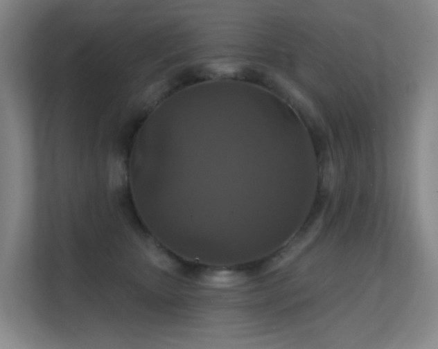 X0000112020467200908101406