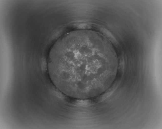 X0000112020469200908101406