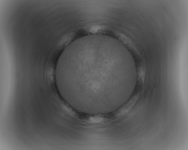 X0000112020470200908101406