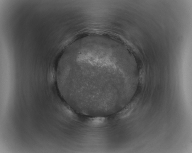 X0000112020474200908101406