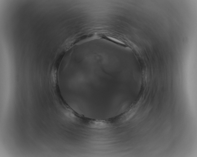 X0000112020475200908101406