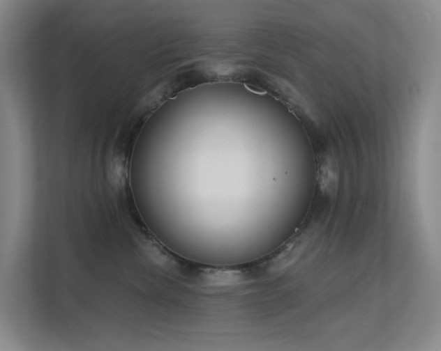 X0000112020476200908101406