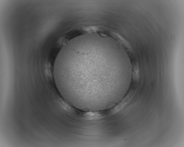 X0000112020477200908101406