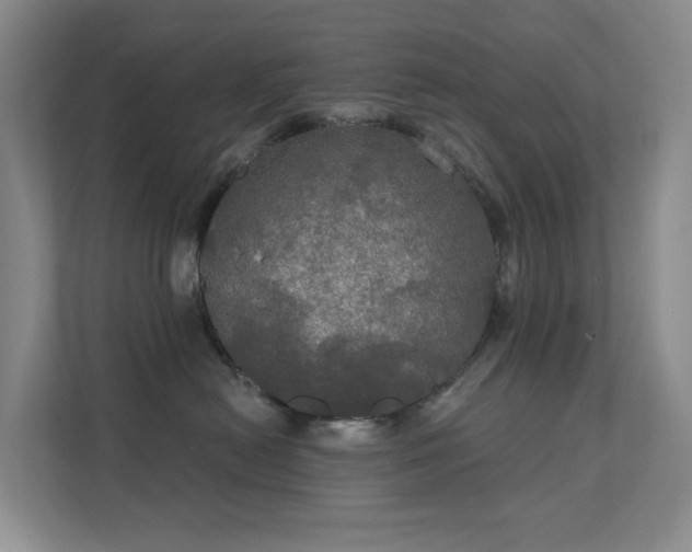 X0000112020478200908101406