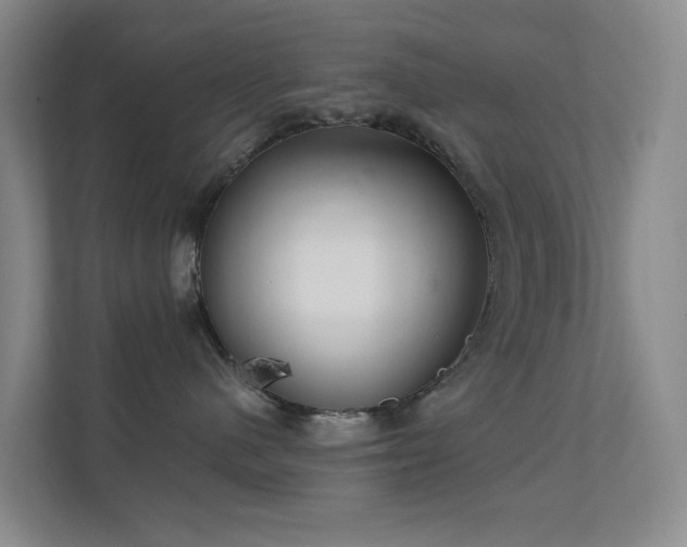 X0000112020480200908101406