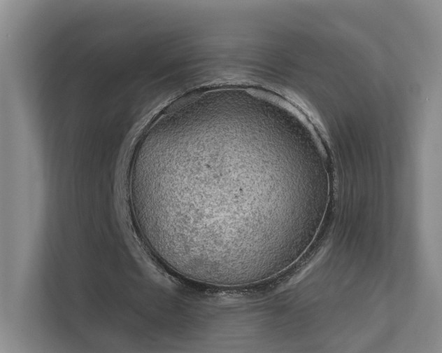 X0000112020481200908101405