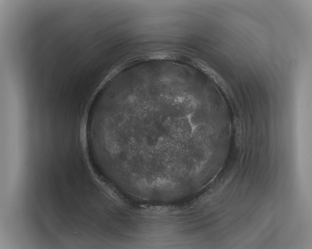 X0000112020482200908101405