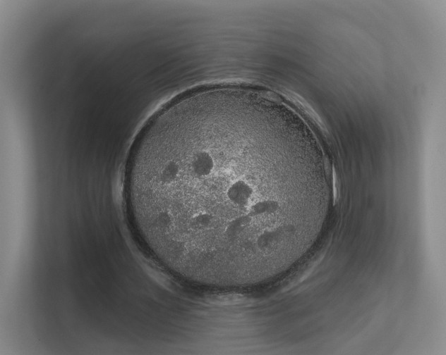 X0000112020483200908101405