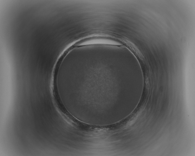 X0000112020484200908101405