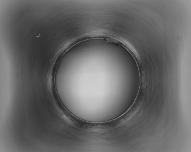 X0000112020485200908101405