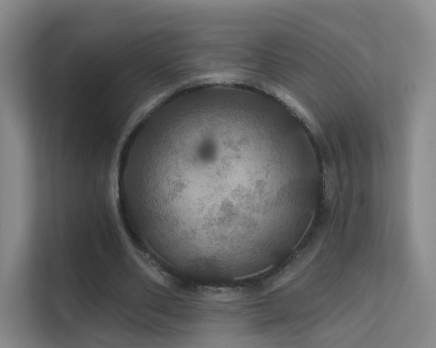 X0000112020486200908101405