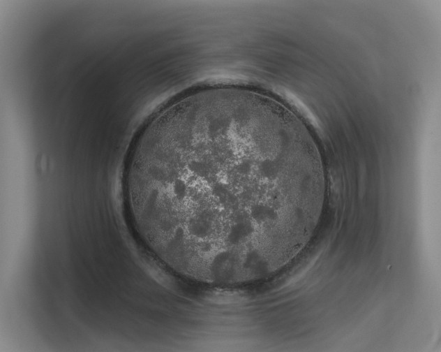 X0000112020487200908101405