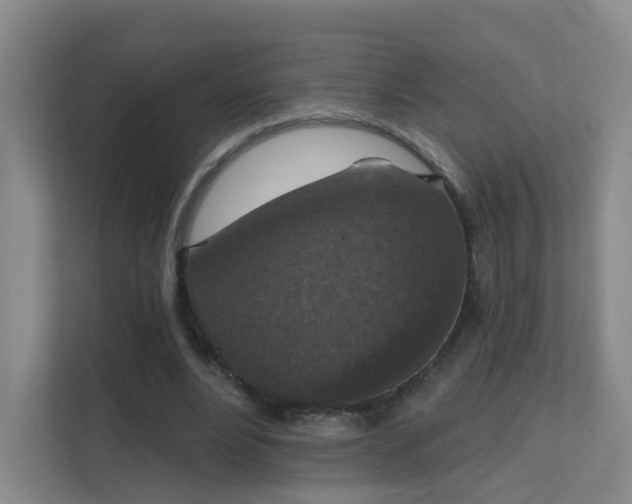 X0000112020488200908101405