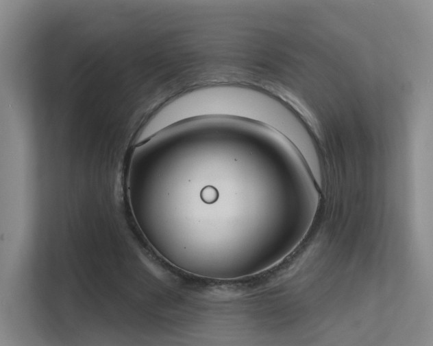 X0000112020489200908101405