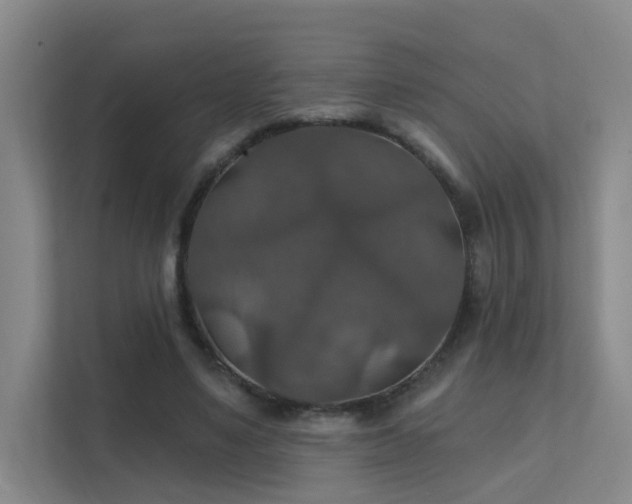 X0000112020491200908101405