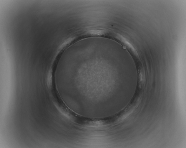 X0000112020492200908101405