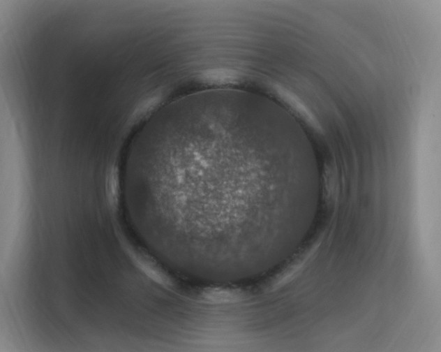 X0000112020494200908101405