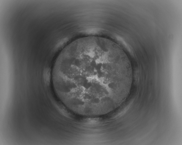 X0000112020495200908101405