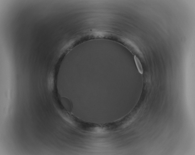 X0000112020496200908101405